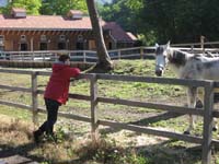 /japan/gallery/arabianHorseRanch/thumbnails/IMG_1176.jpg