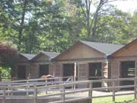 /japan/gallery/arabianHorseRanch/thumbnails/IMG_1178.jpg