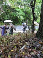 /japan/gallery/thePeople/thumbnails/IMG_0099.jpg
