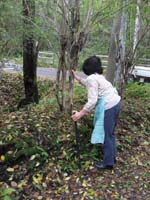 /japan/gallery/theTrail/thumbnails/IMG_0426.jpg