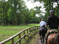 /japan/gallery/theTrail/thumbnails/IMG_0673.jpg