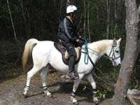 /japan/gallery/theTrail/thumbnails/IMG_0911.jpg