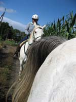/japan/gallery/theTrail/thumbnails/IMG_1101.jpg
