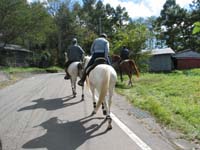 /japan/gallery/theTrail/thumbnails/IMG_1510.jpg