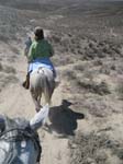 /merri/Idaho/Oreana/Owyhee/ORII/thumbnails/ORII058.jpg