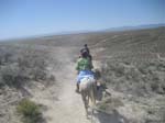 /merri/Idaho/Oreana/Owyhee/ORII/thumbnails/ORII059.jpg