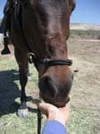 /merri/Idaho/Oreana/Owyhee/ORII/thumbnails/ORII069.jpg