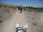 /merri/Idaho/Oreana/Owyhee/ORII/thumbnails/ORII089.jpg
