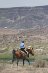 /merri/Idaho/Oreana/Owyhee/Owy100/thumbnails/ORH108.jpg