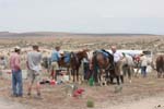 /merri/Idaho/Oreana/Owyhee/Owy100/thumbnails/ORH135.jpg