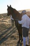 /oreana/arabiannights/2007/Gallery/MikeT/thumbnails/IMG_8594.jpg