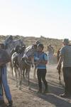 /oreana/arabiannights/2007/Gallery/MikeT/thumbnails/IMG_8630.jpg