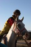 /oreana/arabiannights/2007/Gallery/MikeT/thumbnails/IMG_8637.jpg