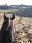 /oreana/owyheecanyonlands/2007/Gallery02/thumbnails/07OWYC094.jpg
