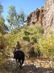 /oreana/owyheecanyonlands/2007/Gallery04/thumbnails/07OWYC288A.jpg