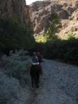 /oreana/owyheecanyonlands/2007/Gallery04/thumbnails/07OWYC290A.jpg