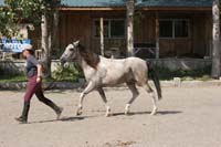 /oreana/owyheecanyonlands/2008/gallery/01/thumbnails/0809OWYC_156.jpg