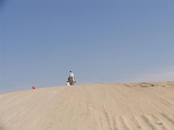 IMG_0889