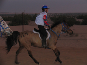 Meg Sleeper and Bint Dana (Toady) at the Start