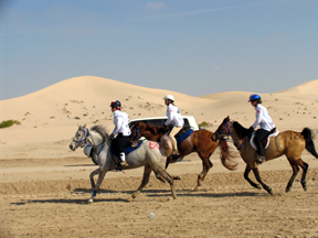 Trio galloping