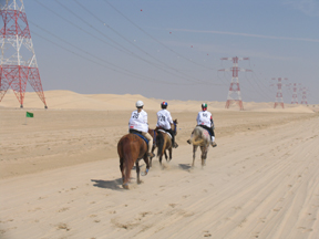 Riding along the Power Lines