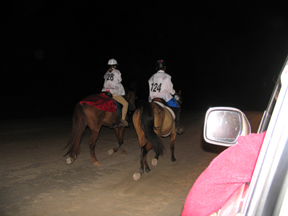Meg and Heather, Trotting in the Dark