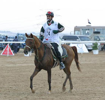 RO Fabiola - World's Fastest Endurance Horse. photo by Luft Peterson