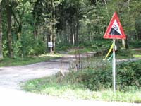 IMG_6362