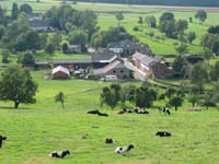 IMG_6367
