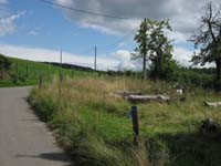 IMG_0626
