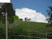 2006wec/images/Aug18TrailGallery/thumbnails/IMG_0671.jpg
