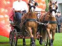 IMG_7400