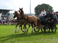 IMG_7410