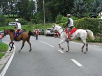 IMG_7801