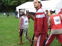 IMG_7528