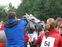 IMG_7564