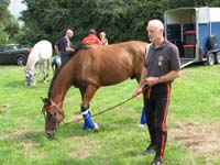 2006wec/images/Belgium/Aug15TrailGallery/thumbnails/IMG_5991.jpg