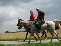 2006wec/images/Belgium/Aug15TrailGallery/thumbnails/IMG_6037.jpg