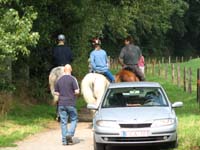 2006wec/images/Belgium/Aug15TrailGallery/thumbnails/IMG_6103.jpg