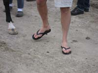 2006wec/images/USA/Aug16BarnGallery/thumbnails/IMG_0520.jpg
