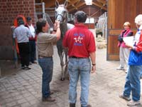 2006wec/images/USA/Aug17BarnGallery/thumbnails/IMG_6269.jpg