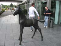 2006wec/images/Venue/Aug15WegVenueGallery/thumbnails/IMG_0474.jpg