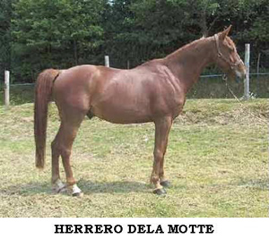 Herrero Dela Motte