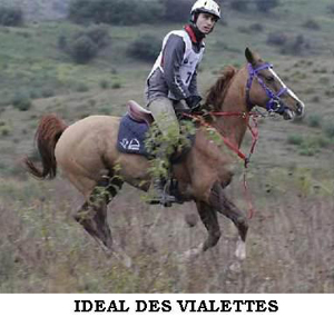 Ideal des Vialettes