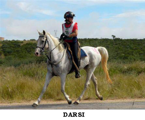 Darsi