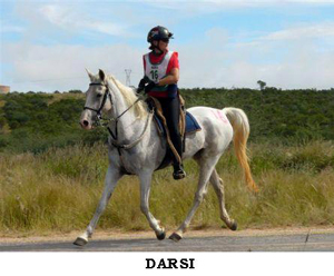 Darsi