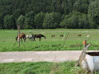 IMG_6068