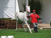 IMG_8074