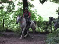 IMG_0599