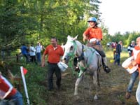 IMG_8728